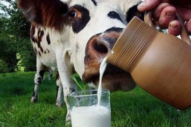 Мінагрополітики ініціює розширену нараду з виробниками молока, переробниками та торгівельними мережами