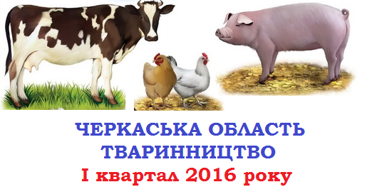 Стан тваринництва Черкаської області у І кварталі 2016 року