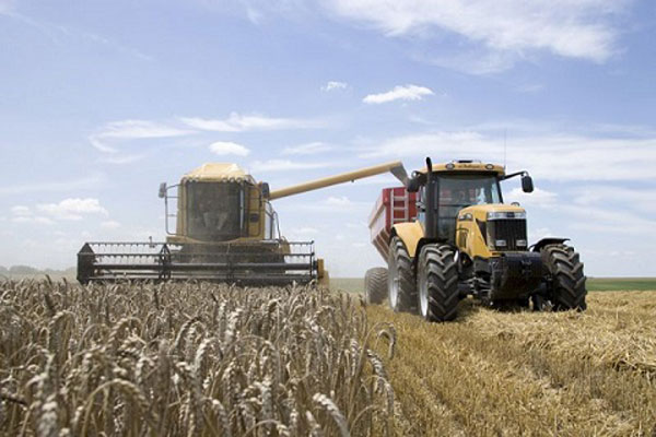 Агаріями області намолочено більше 100 тисяч тонн зерна нового врожаю